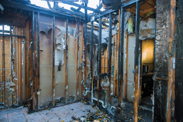 Professional Fire Damage Removal technician working in Laurens, IA